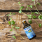 Oregasept H97, olejek z oregano, 30 ml