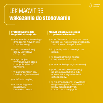 Zestaw 3x Magvit B6, tabletki dojelitowe, 50 szt.