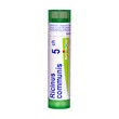Boiron Ricinus communis, 5CH, granulki, 4 g