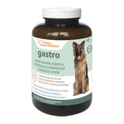 Yarrowia Canifelox Gastro dog, proszek, 120 g https://azcdn.doz.pl/image/d/product/ddf19dc2-scale-180x180.png