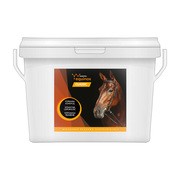 Yarrowia Equinox Classic, mieszanka paszowa uzupełniająca dla koni, granulat, 3 kg https://azcdn.doz.pl/image/d/product/4a1a17d8-scale-180x180.png
