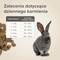 Beaphar Care+ Senior, karma dla królika, 1,5 kg