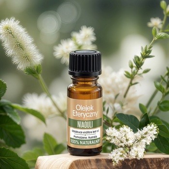 Vera Nord, olejek eteryczny, niaouli, 10 ml