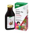 Floradix, Żelazo dla dzieci, płyn, 250 ml