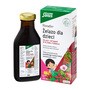 Floradix, Żelazo dla dzieci, płyn, 250 ml