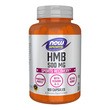 Now Sports HMB 500 mg, kapsułki, 120 szt.