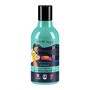 Gift of Nature by Vis Plantis, szampon normalizujący do włosów przetłuszczających się, 300 ml