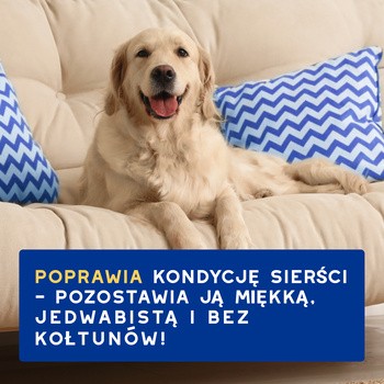 Douxo Spa Hydrating, ultra-bezpieczna odżywka dla psa, 250 ml
