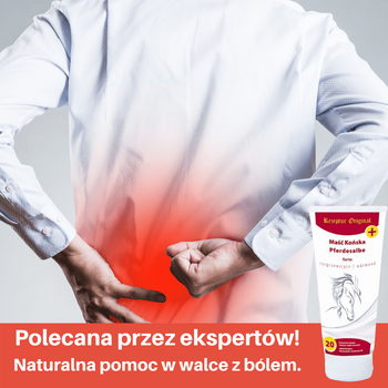 Maść końska Forte, maść rozgrzewająca, (Biovena), 200 g