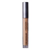Madara Luminous Perfecting Concealer, korektor, Pine 50, 4 ml https://azcdn.doz.pl/image/d/product/37217e80-scale-180x180.png