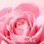 Nuxe Very Rose, kremowe mleczko do demakijażu, 200 ml