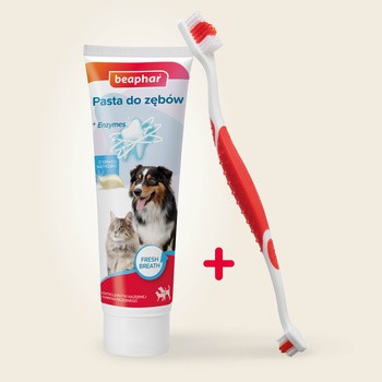 Beaphar Dental Kit, zestaw do czyszczenia zębów dla psów i kotów, 1 szt.