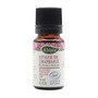 Alepia, olej z opuncji figowej, 10 ml