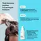 Dermz HairLXR, szampon peelingujący, 300 ml