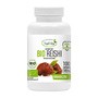 NatVita Bio Reishi, kapsułki, 100 szt.