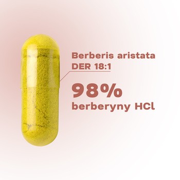 Lifenity Balance, kapsułki, 60 szt.
