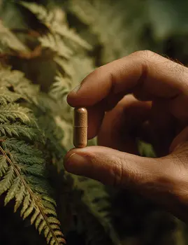 Mumio Himalajskie, kapsułki twarde, 90 szt.