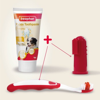 Beaphar Dental Kit Puppy, zestaw do czyszczenia zębów dla szczeniąt, 1 szt.