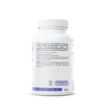 Osavi, Maślan sodu SR 960 mg, kapsułki, 60 szt.