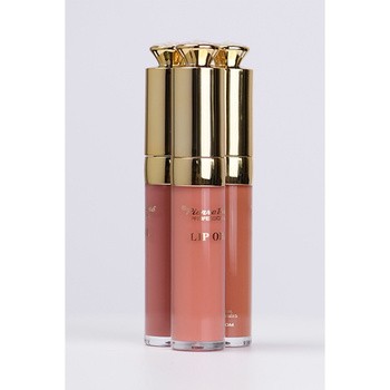 Pierre Rene Lip Oil, olejek do pielęgnacji ust, vegan, nr 01 Royal Nude, 8 ml