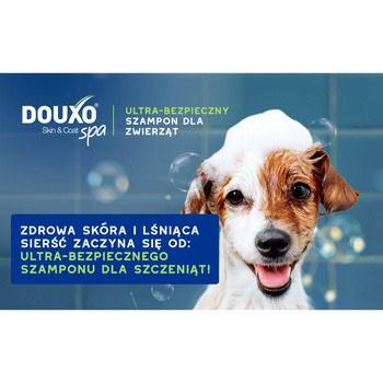 Douxo Spa Puppy, Shampoo, szampon dla szczeniąt, 250 ml