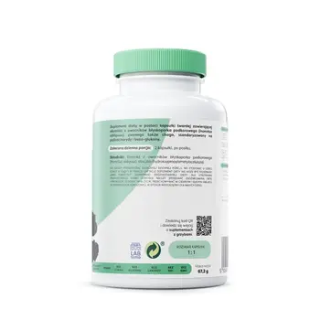 Osavi Chaga 1000 mg, kapsułki, 120 szt.