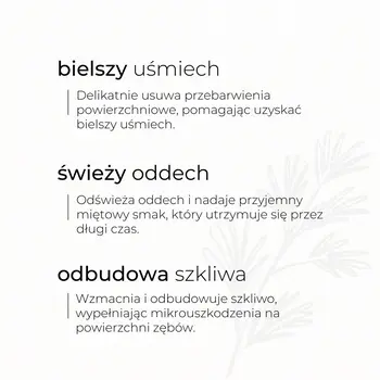 Sylveco, pasta do zębów z węglem aktywnym, bez fluoru, 100 g