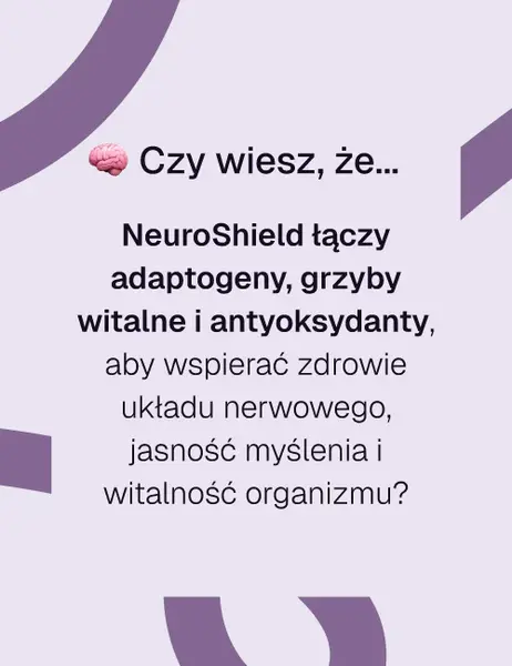 Комплекс грибов Biowen NeuroShield, ежовик, кордицепс и рейши, для мозга и нервной системы, 60 капсул — фото 4