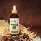 My Herbs Melatonina, płyn, 100 ml