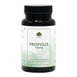 G&G, Propolis 750 mg, kapsułki, 60 szt.