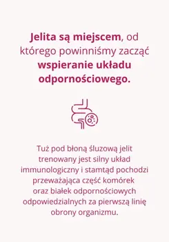 Omni Biotic Pro-Vi 5, saszetki z proszkiem, 2 g x 14 szt.