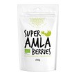 Diet-Food, Super Amla Berries, Bio amla, proszek, 200 g