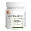 Dolvit Gland mini, preparat na prawidłowe funkcjonowanie gruczołów okołoodbytniczych dla psów i kotów, tabletki mini, 60 szt.