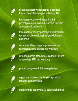 Essensey Kreatyna Monohydrat + B5, B6, kapsułki, 90 szt.