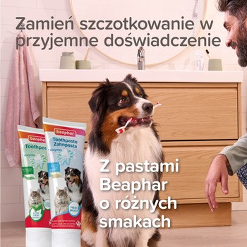 Beaphar Bamboo Toothbrush, szczoteczka do zębów dla psów i kotów, 1 szt.