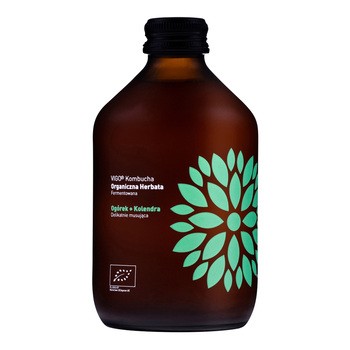 VIGO Kombucha z ogórkiem i kolendrą, napój herbaciany, 330 ml