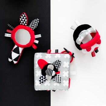 Canpol Babies, zabawka kontrastowa z piszczkiem i lusterkiem SENSORY TOYS, 1 szt.