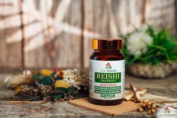 My Herbs Reishi, kapsułki, 60 szt.