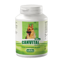 Mikita Canvital + lecytyna, karma uzupełniająca dla psów, tabletki, 150 szt.
