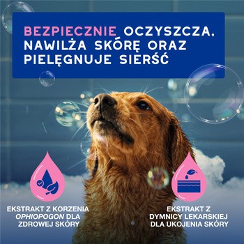 Douxo Spa Itch Soothing Shampoo, szampon łagodzący swędzenie dla psów, 250 ml