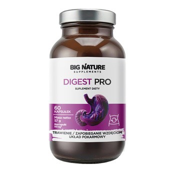 Big Nature Digest Pro, kapsułki, 60 szt.