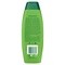 Palmolive Naturals Silky Shine Effect, szampon, 350 ml