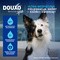 Douxo Spa Quick Refresh Dog Mousse, Pianka bez spłukiwania dla psów, 150 ml