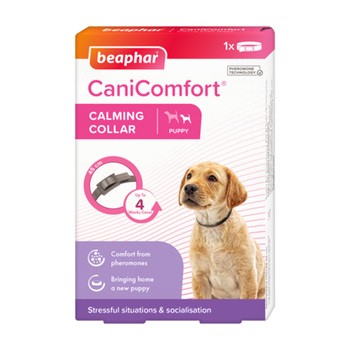 Beaphar CaniComfort Calming Collar Dog, obroża z feromonami dla szczeniąt, 45 cm, 1 szt.