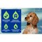 Douxo Spa Puppy, Shampoo, szampon dla szczeniąt, 250 ml