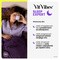 Vit Vibes Sleep Expert, żelki, smak jagody z nutą lawendy, 60 szt.