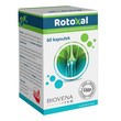 Rotoxal, kapsułki, 60 szt.