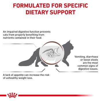 Royal Canin Cat Fibre Response, sucha karma dla dorosłych kotów z tendencją do zatwardzeń/zaparć i/lub kul włosowych, 4 kg