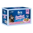Family Plate Brit Premium Cat Pouches Fillets in Gravy Sterilised, zestaw karmy mokrej w filetach w sosie dla sterylizowanych kotów wszystkich ras, mix smaków, 85 g x 12 szt.
