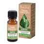 Vera Nord, olejek eteryczny kamfora, 10 ml